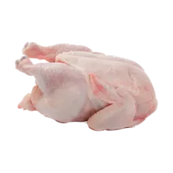 Chicken Meat Chicken Meat